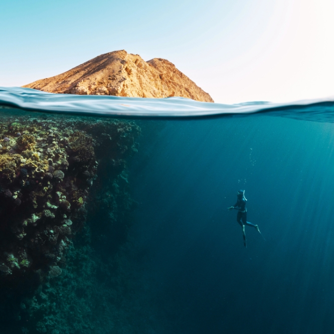An over-under shot of a freediver ascending in deep blue waters alongside a coral wall, with golden cliffs above — symbolising exploration, clarity, and the deep connection to nature.